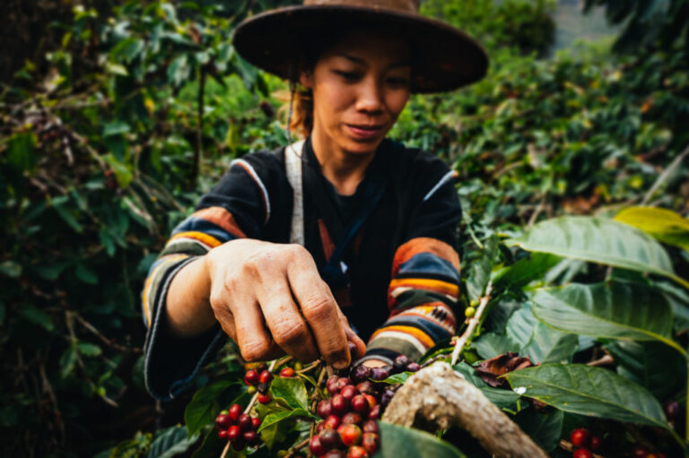 plantation-cafe-da-lat-vietnam