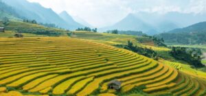 quoi faire à sapa au vietnam