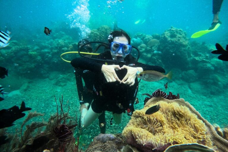 meilleure ville du vietnam snorkeling