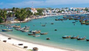 quoi faire à mui né